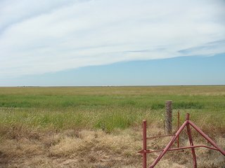 Property photo 74 - IRRIGATED LAND AUCTION - 12,160+/- ACRES OFFERED IN 12 TRACTS IN HARTLEY & MOORE COUNTY, TEXAS