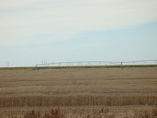 Property photo 37 - IRRIGATED LAND AUCTION - 12,160+/- ACRES OFFERED IN 12 TRACTS IN HARTLEY & MOORE COUNTY, TEXAS