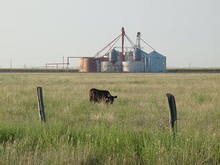 Property photo 14 - IRRIGATED LAND AUCTION - 12,160+/- ACRES OFFERED IN 12 TRACTS IN HARTLEY & MOORE COUNTY, TEXAS