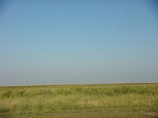 Property photo 21 - IRRIGATED LAND AUCTION - 12,160+/- ACRES OFFERED IN 12 TRACTS IN HARTLEY & MOORE COUNTY, TEXAS