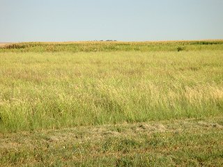 Property photo 72 - IRRIGATED LAND AUCTION - 12,160+/- ACRES OFFERED IN 12 TRACTS IN HARTLEY & MOORE COUNTY, TEXAS