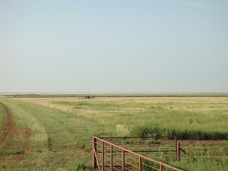 Property photo 83 - IRRIGATED LAND AUCTION - 12,160+/- ACRES OFFERED IN 12 TRACTS IN HARTLEY & MOORE COUNTY, TEXAS