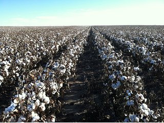 Property photo 71 - IRRIGATED LAND AUCTION - 12,160+/- ACRES OFFERED IN 12 TRACTS IN HARTLEY & MOORE COUNTY, TEXAS