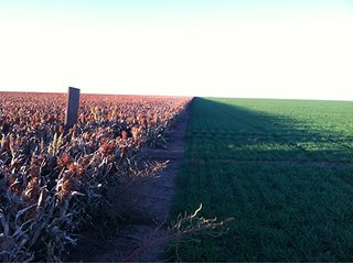 Property photo 20 - IRRIGATED LAND AUCTION - 12,160+/- ACRES OFFERED IN 12 TRACTS IN HARTLEY & MOORE COUNTY, TEXAS