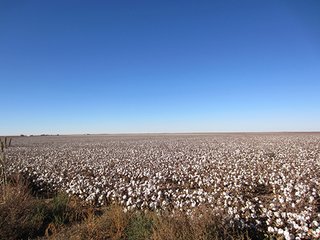 Property photo 10 - IRRIGATED LAND AUCTION - 12,160+/- ACRES OFFERED IN 12 TRACTS IN HARTLEY & MOORE COUNTY, TEXAS