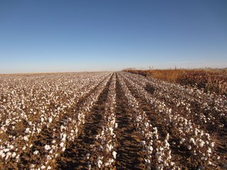 Property photo 3 - IRRIGATED LAND AUCTION - 12,160+/- ACRES OFFERED IN 12 TRACTS IN HARTLEY & MOORE COUNTY, TEXAS