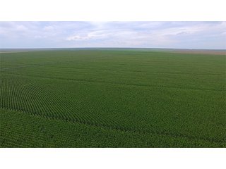 Property photo 30 - IRRIGATED LAND AUCTION - 12,160+/- ACRES OFFERED IN 12 TRACTS IN HARTLEY & MOORE COUNTY, TEXAS