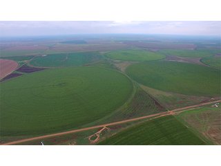 Property photo 63 - IRRIGATED LAND AUCTION - 12,160+/- ACRES OFFERED IN 12 TRACTS IN HARTLEY & MOORE COUNTY, TEXAS