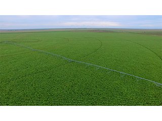 Property photo 45 - IRRIGATED LAND AUCTION - 12,160+/- ACRES OFFERED IN 12 TRACTS IN HARTLEY & MOORE COUNTY, TEXAS