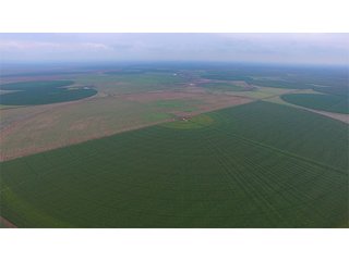 Property photo 39 - IRRIGATED LAND AUCTION - 12,160+/- ACRES OFFERED IN 12 TRACTS IN HARTLEY & MOORE COUNTY, TEXAS