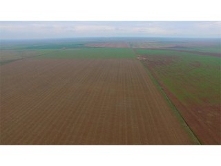 Property photo 46 - IRRIGATED LAND AUCTION - 12,160+/- ACRES OFFERED IN 12 TRACTS IN HARTLEY & MOORE COUNTY, TEXAS