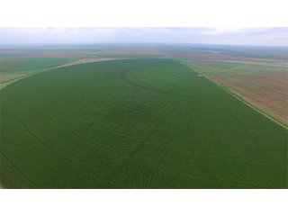 Property photo 61 - IRRIGATED LAND AUCTION - 12,160+/- ACRES OFFERED IN 12 TRACTS IN HARTLEY & MOORE COUNTY, TEXAS