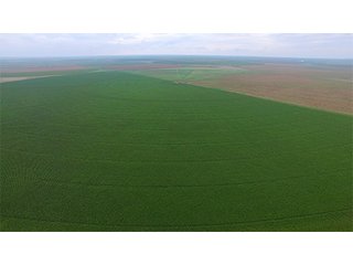 Property photo 16 - IRRIGATED LAND AUCTION - 12,160+/- ACRES OFFERED IN 12 TRACTS IN HARTLEY & MOORE COUNTY, TEXAS