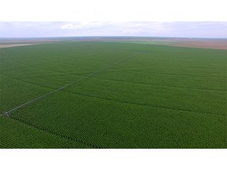 Property photo 70 - IRRIGATED LAND AUCTION - 12,160+/- ACRES OFFERED IN 12 TRACTS IN HARTLEY & MOORE COUNTY, TEXAS