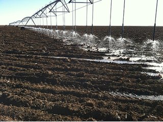 Property photo 65 - IRRIGATED LAND AUCTION - 12,160+/- ACRES OFFERED IN 12 TRACTS IN HARTLEY & MOORE COUNTY, TEXAS