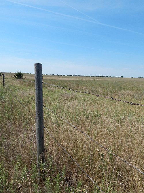 Property photo 2 - AUCTION CANCELLED - GRASSLAND AUCTION - 4,217+/- ACRES OFFERED IN 2 TRACTS IN CHASE COUNTY, NE
