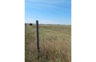 Property photo 2 - AUCTION CANCELLED - GRASSLAND AUCTION - 4,217+/- ACRES OFFERED IN 2 TRACTS IN CHASE COUNTY, NE