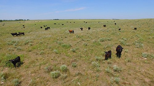 Property photo 1 - AUCTION CANCELLED - GRASSLAND AUCTION - 4,217+/- ACRES OFFERED IN 2 TRACTS IN CHASE COUNTY, NE