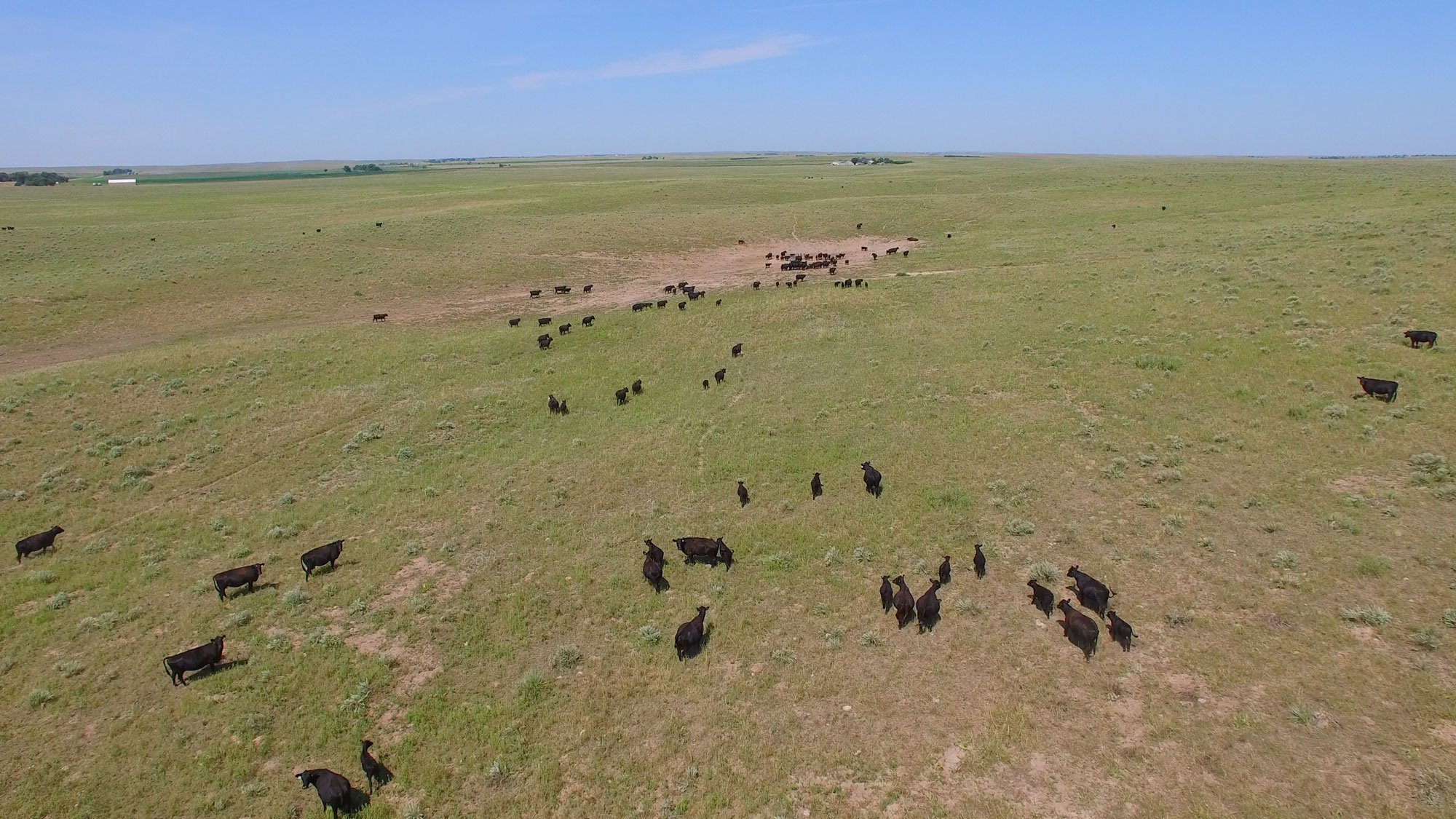 Property photo 8 - AUCTION CANCELLED - GRASSLAND AUCTION - 4,217+/- ACRES OFFERED IN 2 TRACTS IN CHASE COUNTY, NE