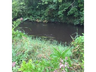 Property photo 17 - REAL ESTATE AUCTION - 86.5+/- ACRES OFFERED IN 6 TRACTS IN CASS COUNTY, MICHIGAN