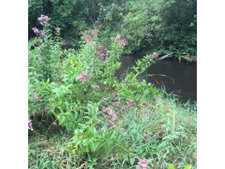 Property photo 16 - REAL ESTATE AUCTION - 86.5+/- ACRES OFFERED IN 6 TRACTS IN CASS COUNTY, MICHIGAN