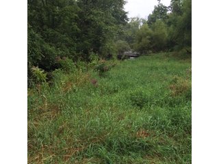 Property photo 23 - REAL ESTATE AUCTION - 86.5+/- ACRES OFFERED IN 6 TRACTS IN CASS COUNTY, MICHIGAN