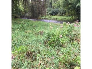 Property photo 21 - REAL ESTATE AUCTION - 86.5+/- ACRES OFFERED IN 6 TRACTS IN CASS COUNTY, MICHIGAN
