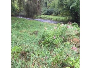 Property photo 20 - REAL ESTATE AUCTION - 86.5+/- ACRES OFFERED IN 6 TRACTS IN CASS COUNTY, MICHIGAN