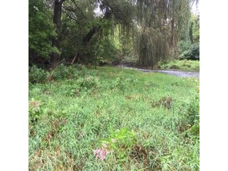 Property photo 24 - REAL ESTATE AUCTION - 86.5+/- ACRES OFFERED IN 6 TRACTS IN CASS COUNTY, MICHIGAN