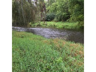 Property photo 18 - REAL ESTATE AUCTION - 86.5+/- ACRES OFFERED IN 6 TRACTS IN CASS COUNTY, MICHIGAN