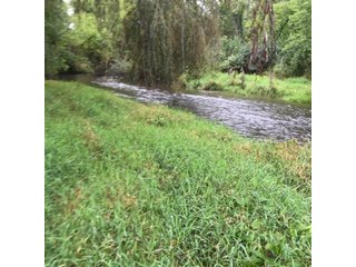 Property photo 19 - REAL ESTATE AUCTION - 86.5+/- ACRES OFFERED IN 6 TRACTS IN CASS COUNTY, MICHIGAN
