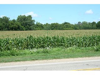 Property photo 2 - REAL ESTATE AUCTION - 86.5+/- ACRES OFFERED IN 6 TRACTS IN CASS COUNTY, MICHIGAN