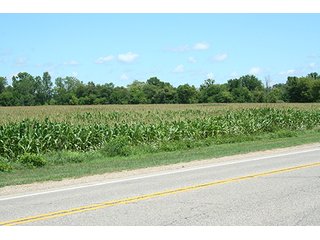 Property photo 12 - REAL ESTATE AUCTION - 86.5+/- ACRES OFFERED IN 6 TRACTS IN CASS COUNTY, MICHIGAN