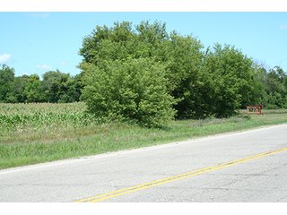 Property photo 3 - REAL ESTATE AUCTION - 86.5+/- ACRES OFFERED IN 6 TRACTS IN CASS COUNTY, MICHIGAN