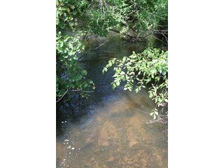 Property photo 26 - REAL ESTATE AUCTION - 86.5+/- ACRES OFFERED IN 6 TRACTS IN CASS COUNTY, MICHIGAN