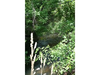 Property photo 27 - REAL ESTATE AUCTION - 86.5+/- ACRES OFFERED IN 6 TRACTS IN CASS COUNTY, MICHIGAN