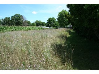 Property photo 9 - REAL ESTATE AUCTION - 86.5+/- ACRES OFFERED IN 6 TRACTS IN CASS COUNTY, MICHIGAN
