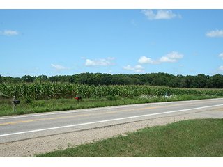 Property photo 28 - REAL ESTATE AUCTION - 86.5+/- ACRES OFFERED IN 6 TRACTS IN CASS COUNTY, MICHIGAN