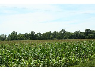 Property photo 5 - REAL ESTATE AUCTION - 86.5+/- ACRES OFFERED IN 6 TRACTS IN CASS COUNTY, MICHIGAN