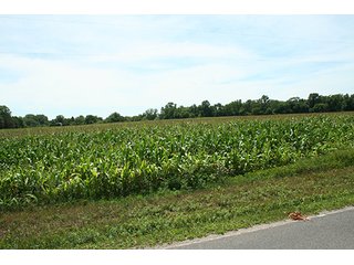 Property photo 6 - REAL ESTATE AUCTION - 86.5+/- ACRES OFFERED IN 6 TRACTS IN CASS COUNTY, MICHIGAN