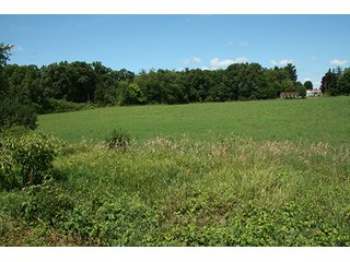 Property photo 14 - REAL ESTATE AUCTION - 86.5+/- ACRES OFFERED IN 6 TRACTS IN CASS COUNTY, MICHIGAN