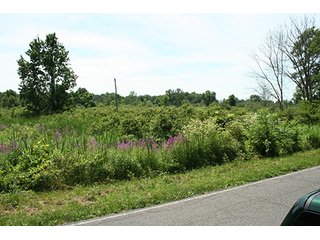Property photo 11 - REAL ESTATE AUCTION - 86.5+/- ACRES OFFERED IN 6 TRACTS IN CASS COUNTY, MICHIGAN