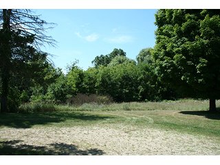 Property photo 8 - REAL ESTATE AUCTION - 86.5+/- ACRES OFFERED IN 6 TRACTS IN CASS COUNTY, MICHIGAN