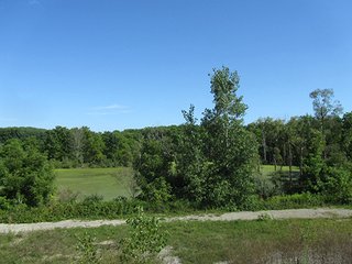 Property photo 1 - LAND AUCTION - 40.9+/- ACRES IN 2 TRACTS IN STEUBEN COUNTY, INDIANA