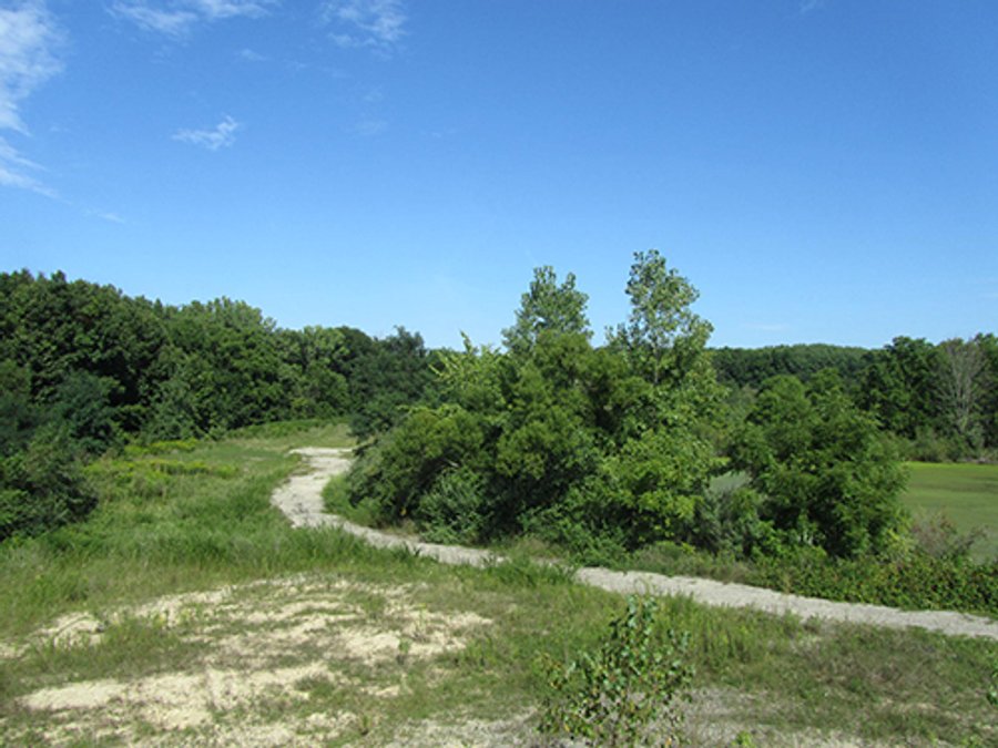 LAND AUCTION - 40.9+/- ACRES IN 2 TRACTS IN STEUBEN COUNTY, INDIANA