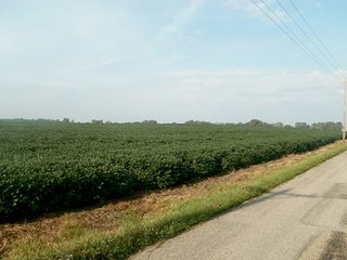 Property photo 2 - LAND AUCTION - 243+/- ACRES OFFERED IN 6 TRACTS IN WAYNE COUNTY, INDIANA
