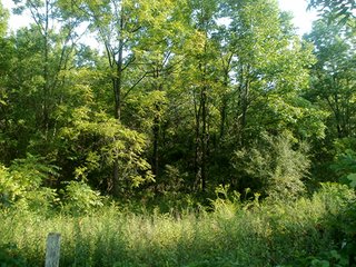 Property photo 1 - LAND AUCTION - 243+/- ACRES OFFERED IN 6 TRACTS IN WAYNE COUNTY, INDIANA