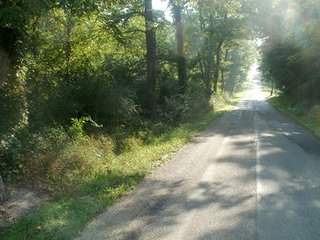 Property photo 3 - LAND AUCTION - 243+/- ACRES OFFERED IN 6 TRACTS IN WAYNE COUNTY, INDIANA