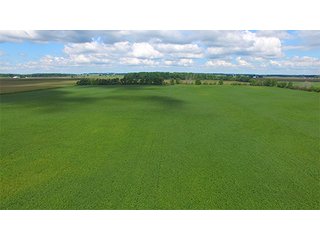 Property photo 17 - FARMLAND AUCTION - 436+/- ACRES IN 10 TRACTS IN AUGLAIZE COUNTY, OH