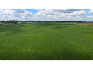 Property photo 3 - FARMLAND AUCTION - 436+/- ACRES IN 10 TRACTS IN AUGLAIZE COUNTY, OH